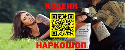 индика Можайск
