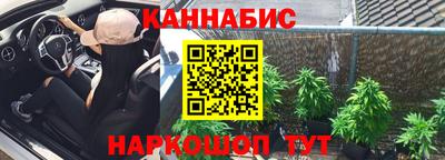 индика Можайск