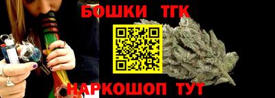 индика Можайск