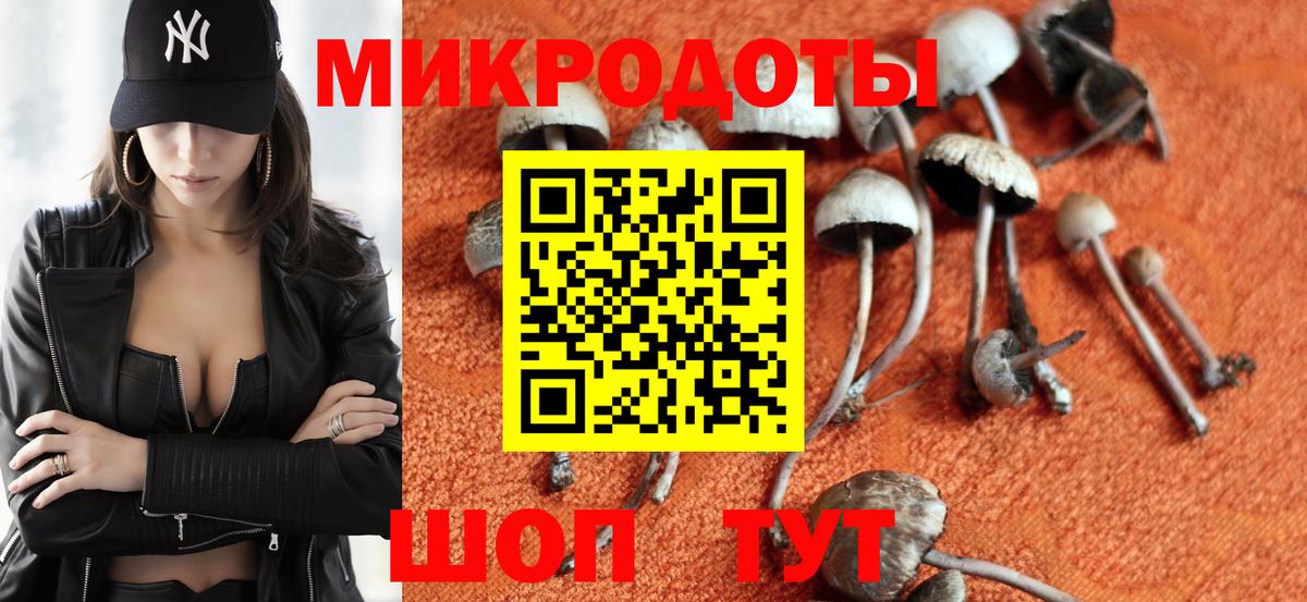 Галлюциногенные грибы мухоморы Чехов
