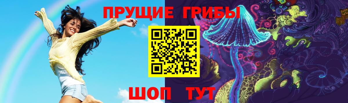 Псилоцибиновые грибы Psilocybine cubensis  Вход с VPN  Чехов  Псилоцибиновые грибы Cubensis 